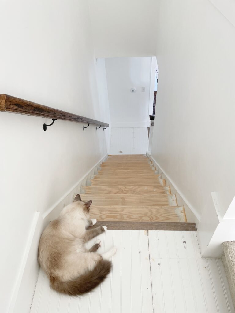 A Ragdoll cat laying on the upstairs of landing of a set of pine tread stairs in the middle of a DIY staircase Reno
