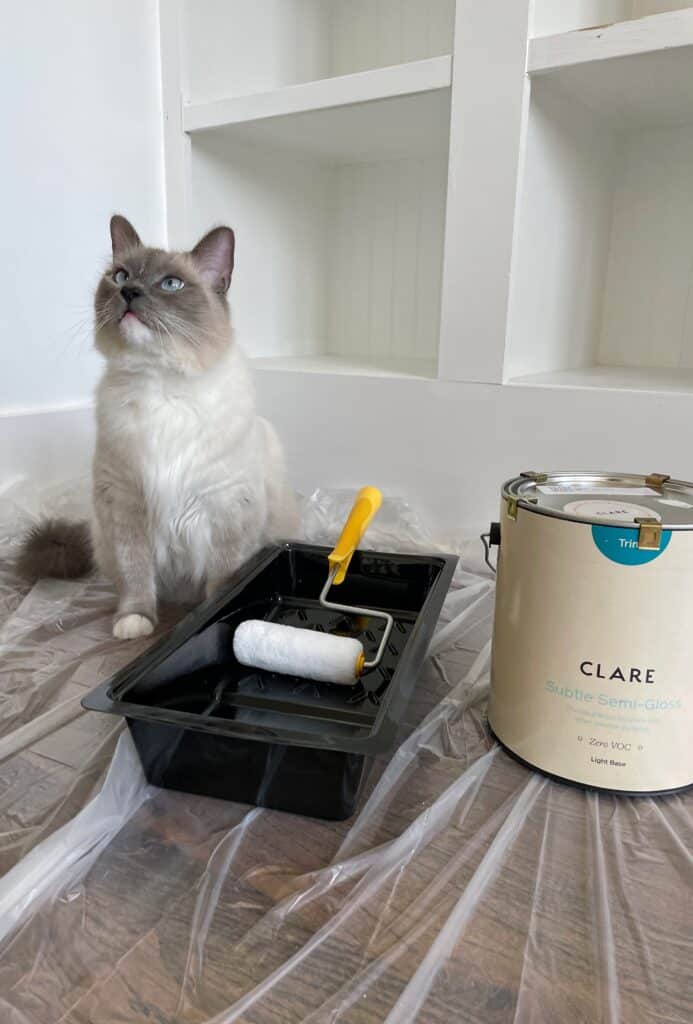 Elisha from Our Aesthetic Abode is showing a photo of her cat Gouda in front of her living room built ins- next to a can of Clare paint in the color whipped. She'll be using this color for her diy recessed wainscoting accent wall
