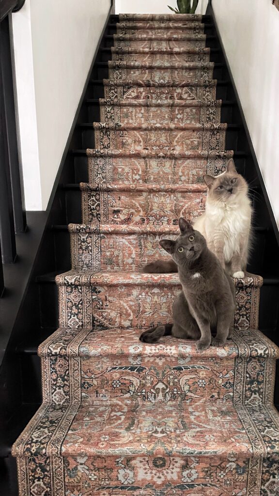 black painted stairs with a multi-color runner going up the middle. A gray and white cat sit on the stairs