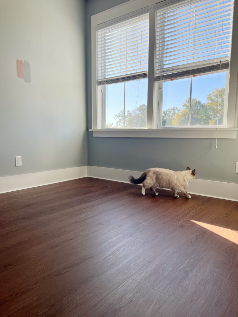A cat on DIY LVP flooring