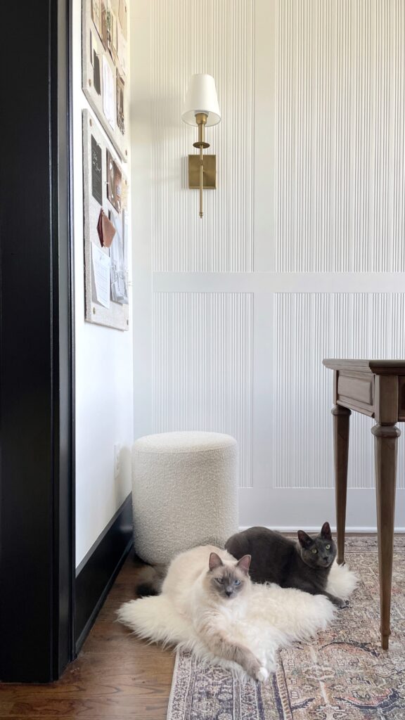 a fluted accent wall, black trim, and two cats laying on fur on the rug
