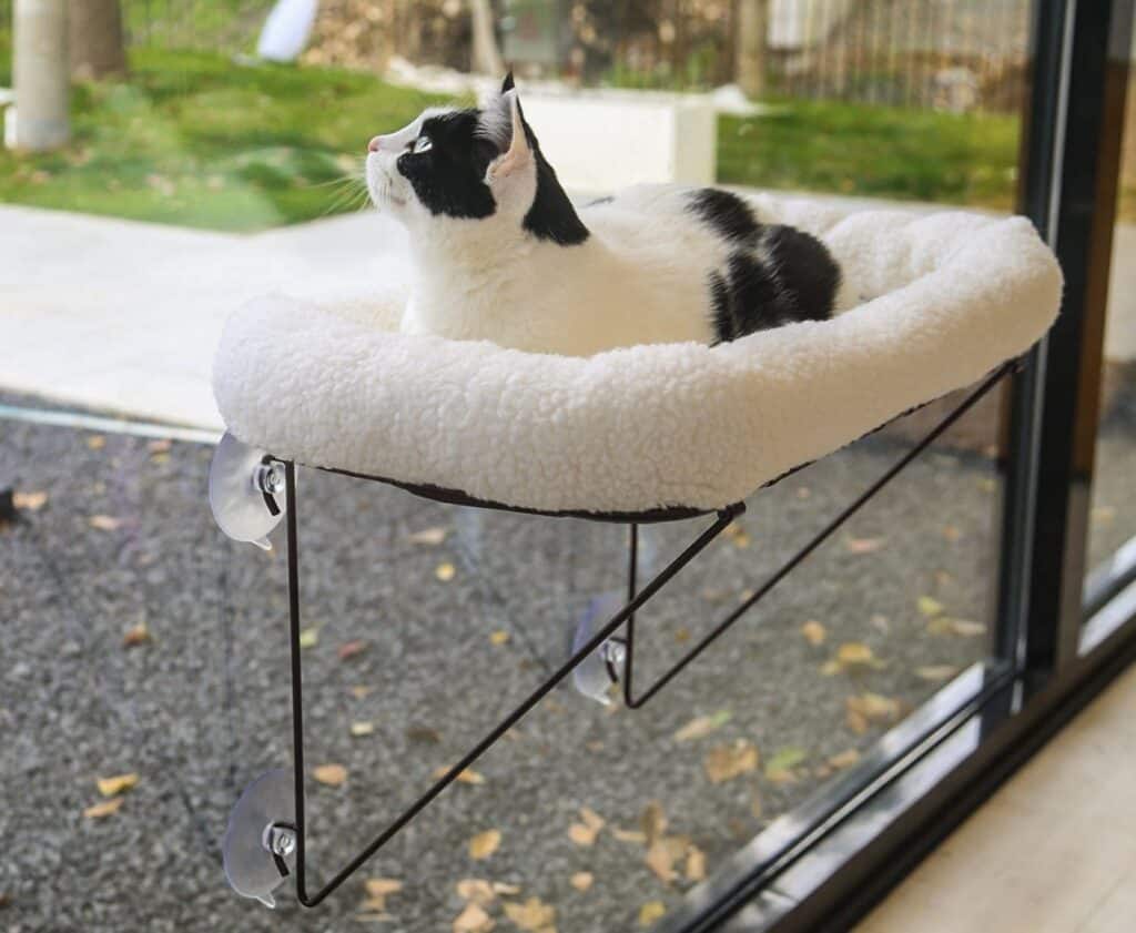 a modern window cat bed