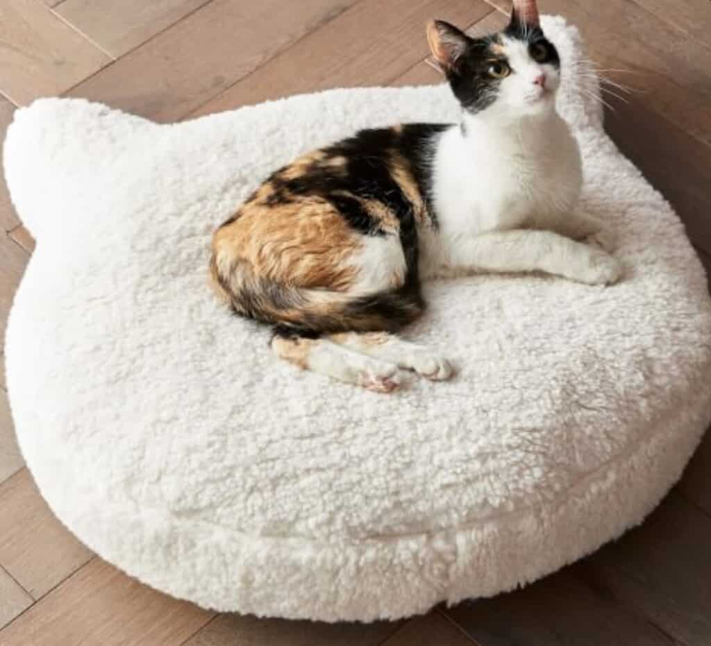 beige sherpa cat shaped bed