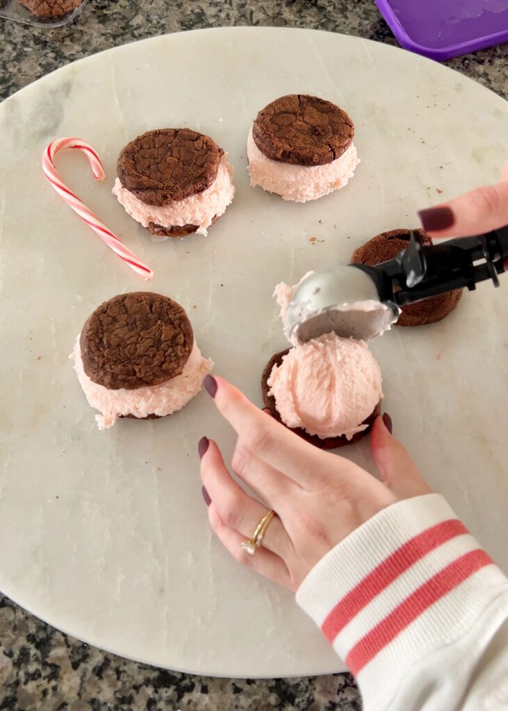 homemade peppermint ice cream with brownie cookies