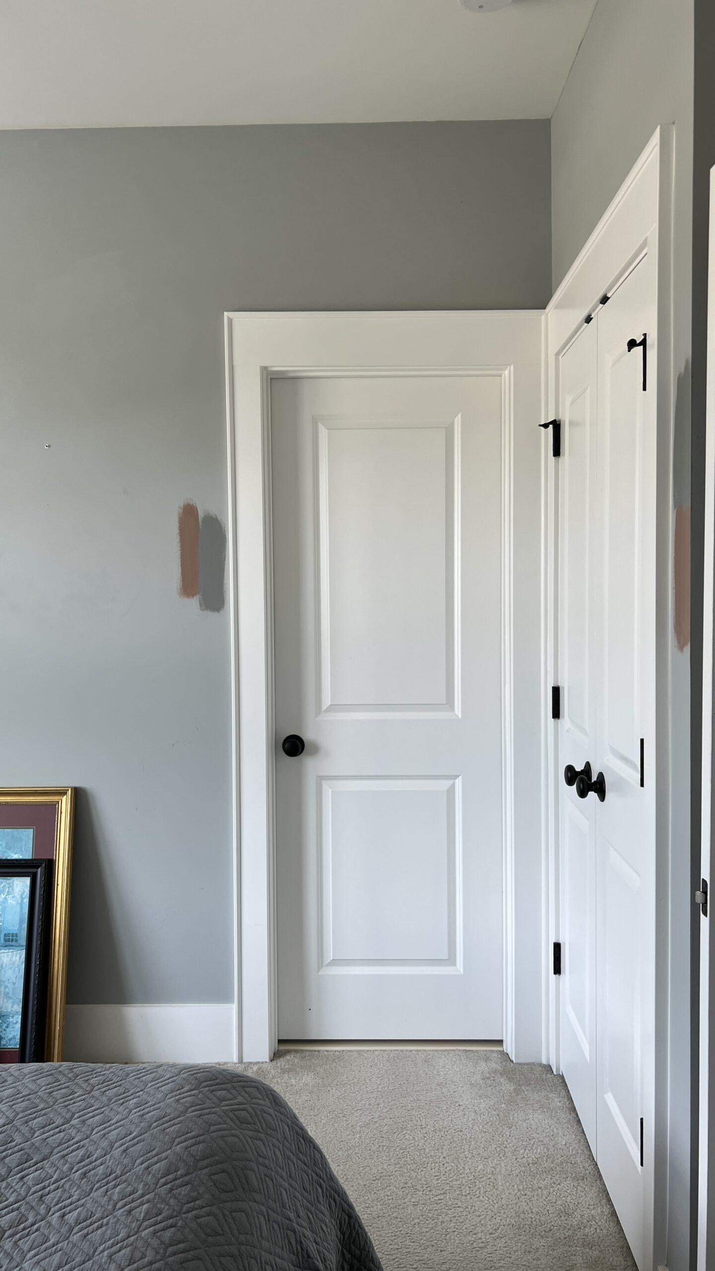 a view of a door and closet doors in a guest bedroom