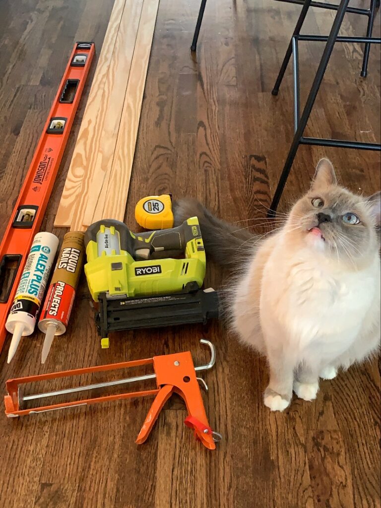 tools and materials needed for a grid accent wall (plus a cute ragdoll cat)