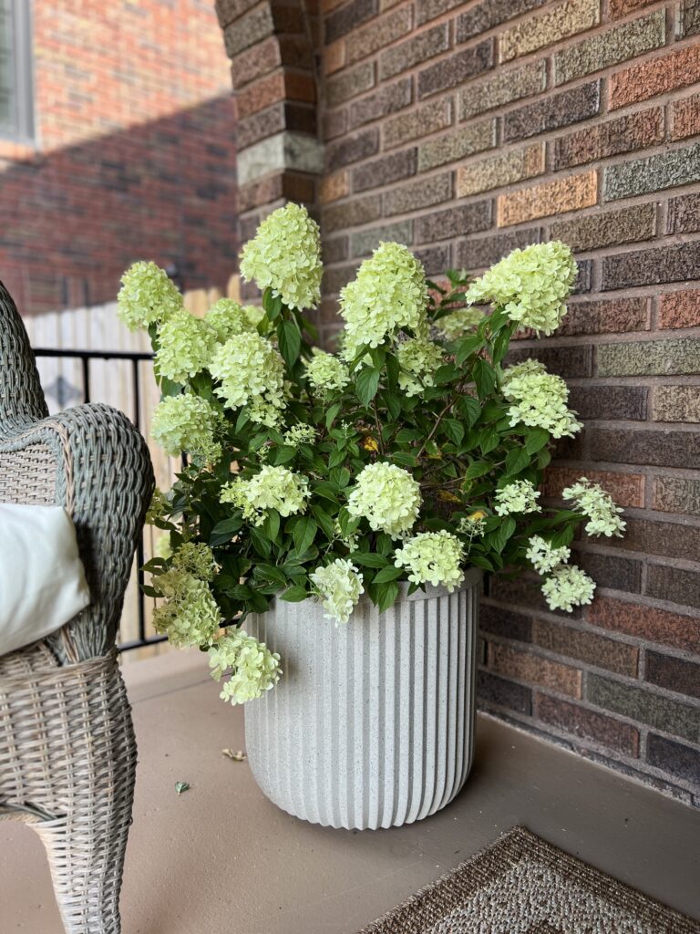 DIY planter makeover