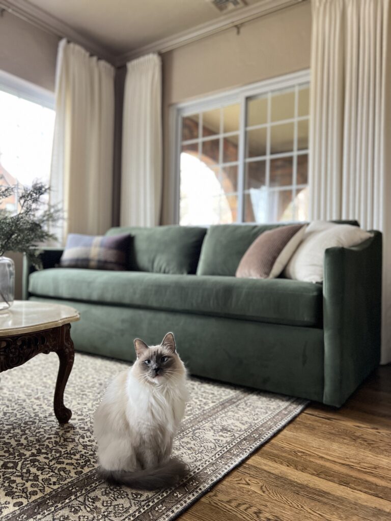 green velvet sofa in cozy sunroom