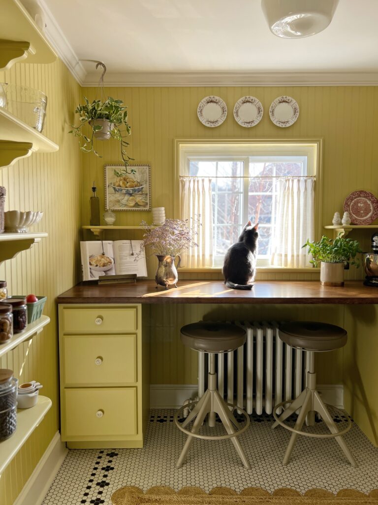 DIY walk in pantry with window