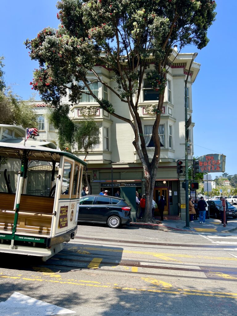 Buena Vista San Francisco