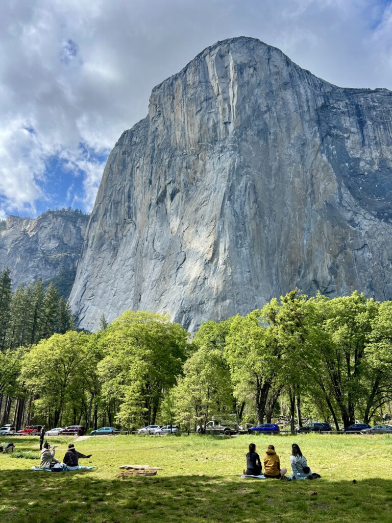 El Capitan Meadow